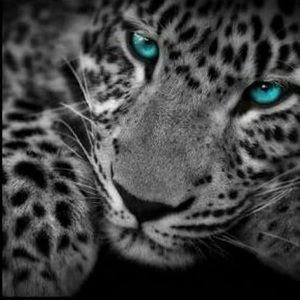 Meet your Posher, Brenda